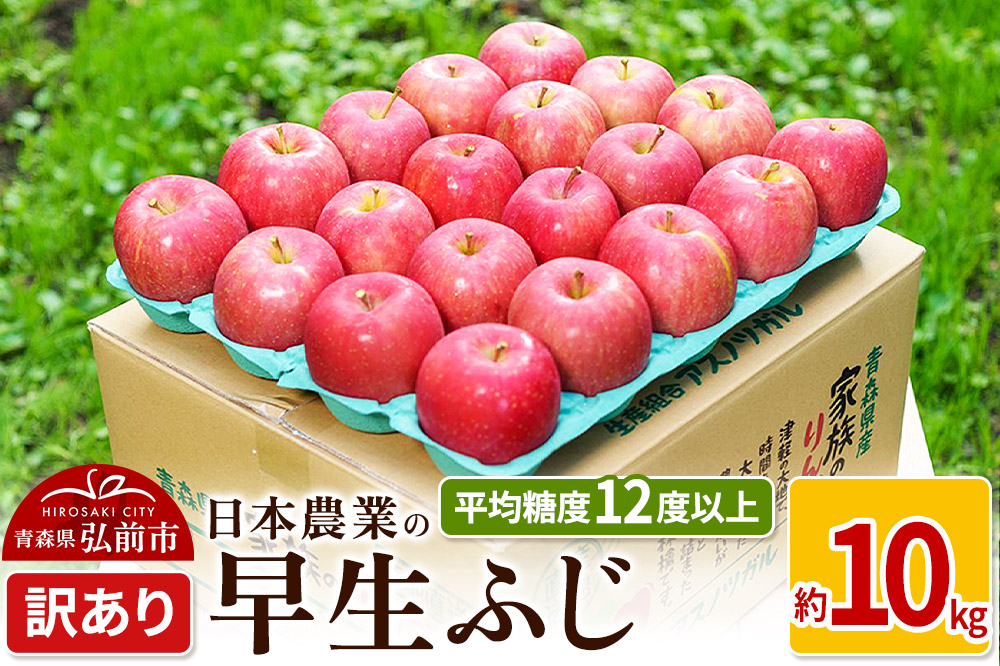 りんご 【先行受付】平均糖度12度以上！ 早生ふじ 約10kg 訳あり