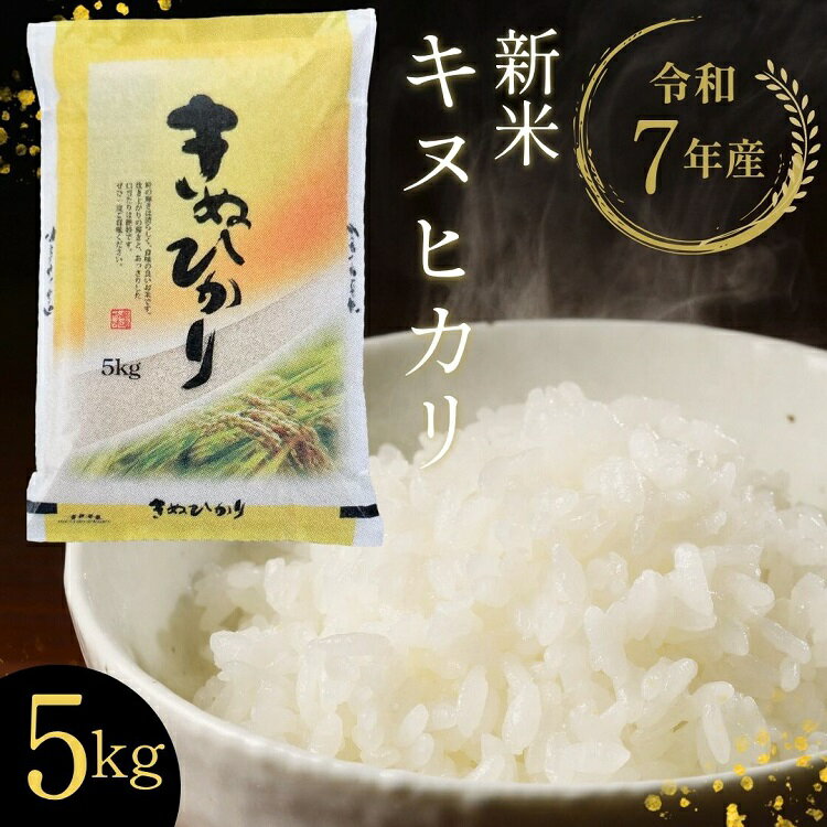 【ふるさと納税】【令和7年産 新米】京都丹波・亀岡産 キヌヒカリ 5kg 米 白米 ※精米したてをお届け《契約栽培米 米・食味鑑定士厳選 きぬひかり 京都丹波産 数量限定 訳あり 簡易包装》※北海道・沖縄・離島への配送不可