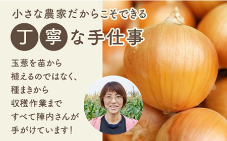 玉葱農家の 玉葱黒カレー（5袋） / 玉ねぎカレー [IAO021]