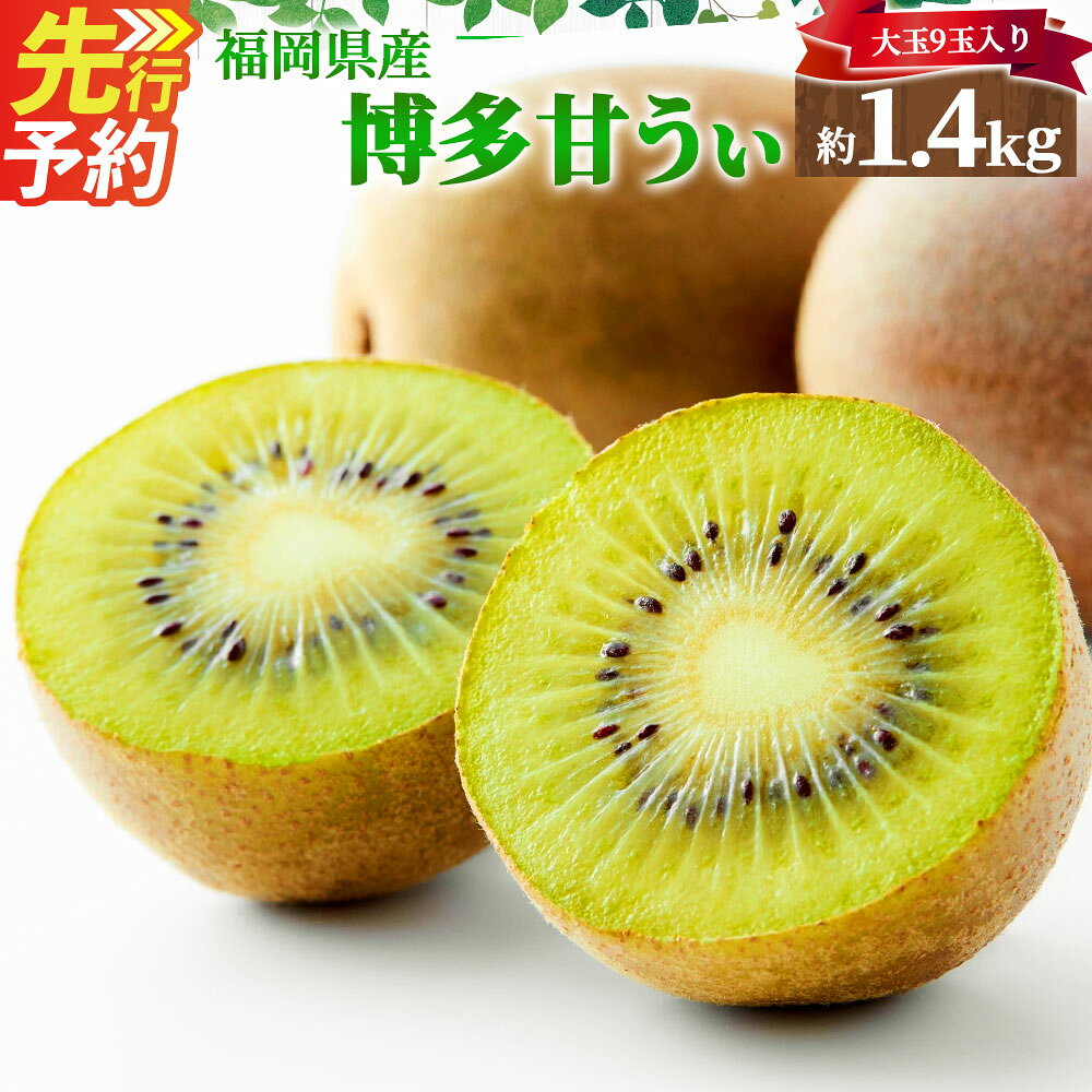 【ふるさと納税】博多 甘うぃ 合計約1.4kg 大玉 9玉入り キウイ フルーツ 果物 福岡県産 九州産 国産 冷蔵 先行予約 送料無料 【2026年10月下旬～11月下旬発送予定】