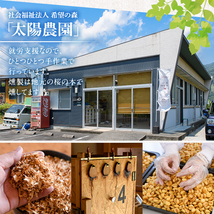 ＜訳あり＞ 燻製ナッツ 詰め合わせ (おまかせ10袋) セット 燻製 ナッツ 透明真空パック ミックスナッツ ピーナッツ 加工品 加工食品 おつまみ おやつ 大分県 佐伯市 防災【FD05】【希望の森