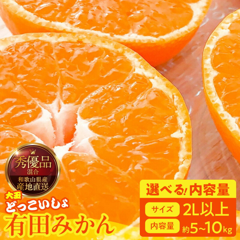 【ふるさと納税】【限定】 【2025年先行予約】 みかん 大玉 どっこいしょ 2Lサイズ 以上 秀品 優品 混合 選べる 内容量 箱込 5kg ～ 10kg 有田みかん 和歌山県産 産地直送 みかんの会 フルーツ デザート お取り寄せ 和歌山県 湯浅町 送料無料