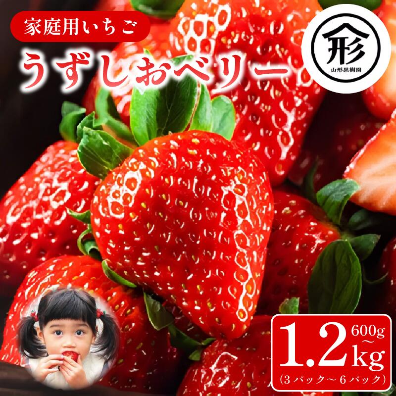 【ふるさと納税】 いちご 苺 3パックから6パック 600g～1.2kg 1月～4月末まで発送 うずしおベリー 果物 フルーツ デザート 旬 新鮮 季節 冬 人気 ケーキ おすすめ ギフト プレゼント 贈答 家庭用 先行予約 送料無料 徳島