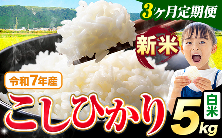 【3ヶ月定期便】 令和7年産 新米 こしひかり 5kg 定期便《お申込み月の翌月から出荷開始》熊本県産 ふるさと納税 白米 精米 ひの 米 こめ ふるさとのうぜい コシヒカリ コメ お米 おこめ