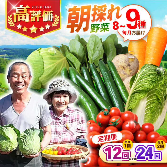 【ふるさと納税】【12回・24回定期便】諫早産 野菜の詰め合わせ 8〜9品目程度 / 季節 旬 野菜 やさい 春野菜 夏野菜 秋野菜 野菜セット 詰め合わせ 野菜定期 野菜定期便 定期便 / 諫早市 / 肥前グローカル株式会社 [AHDI003]