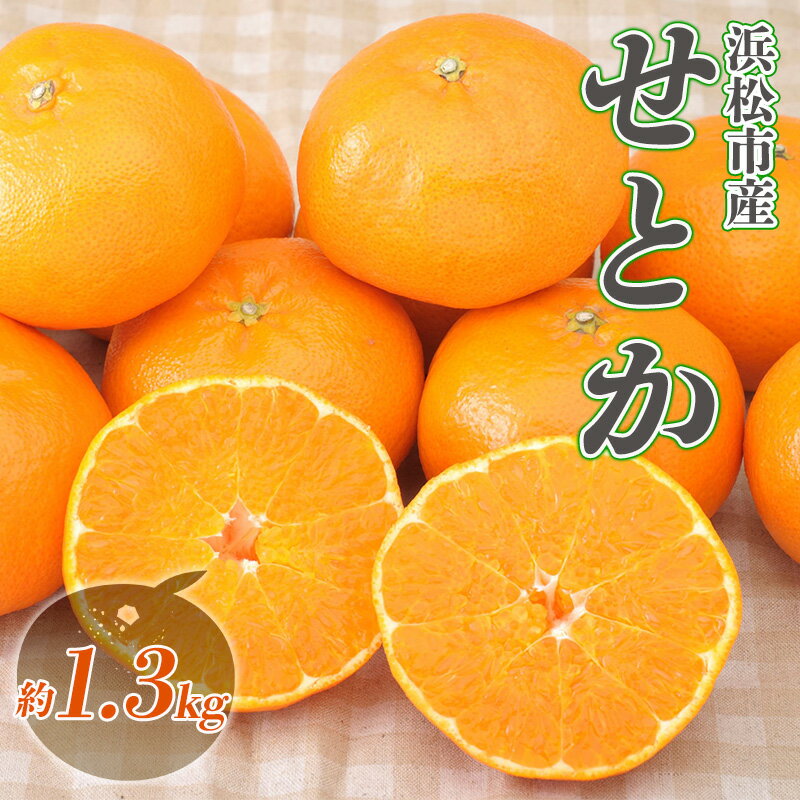 【ふるさと納税】果物 先行予約 数量限定 期間限定 せとか 約1.3kg 3～5個 大玉 ハウス くだもの 旬のフルーツ 旬の果物 季節のフルーツ 季節の果物 柑橘 柑橘類 ハウス栽培 ジューシー　お届け：2027年2月1日～2月28日まで