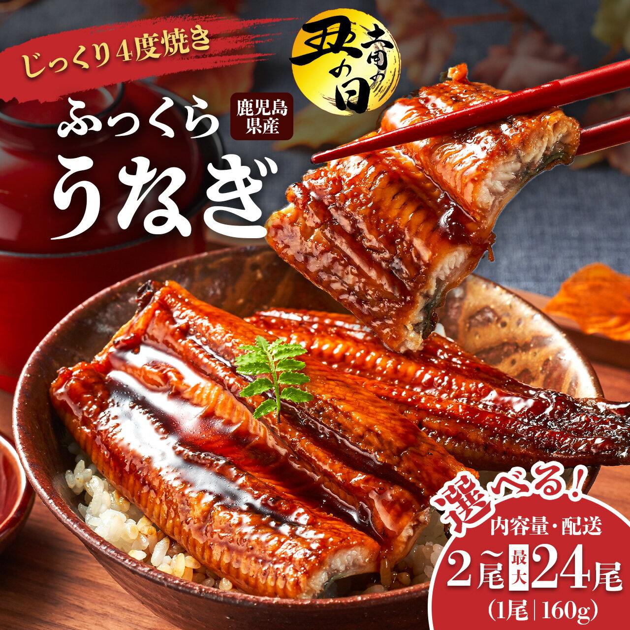 地下水で育てた絶品うなぎ うなぎ 長蒲焼 2尾 300g | ふるさと納税 うなぎ 高級 ウナギ 鰻 国産 蒲焼 蒲焼き たれ 鹿児島 大隅 大崎町 ふるさと 人気 送料無料