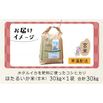 ふるさと納税 滑川市 【ほたるいか米】玄米　30kg |  | 03