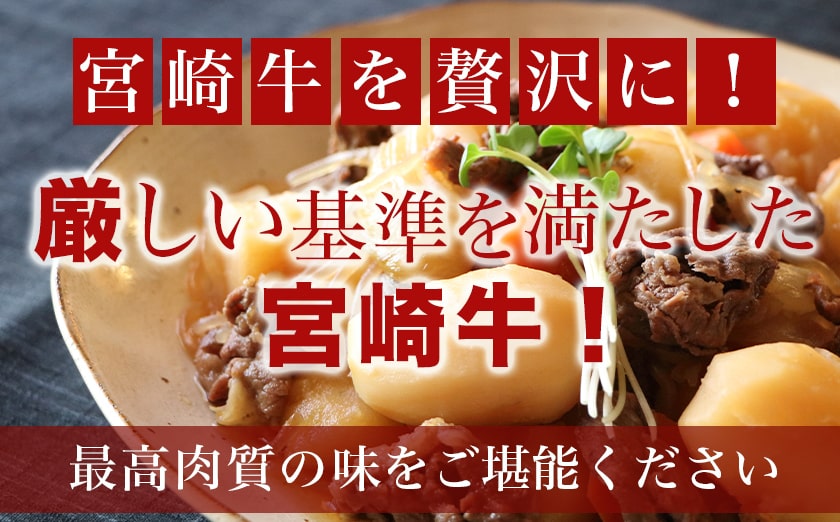 宮崎牛肩スライス500g_13-8905