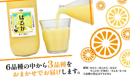 化粧箱入り 木成り完熟ジュース 3本セット 1000ml×3本 こうの果樹園 みかんジュース ストレートジュース ストレート 100%ジュース 蜜柑 果汁 100％ 濃厚 とろみ 飲料 柑橘 果物 フ