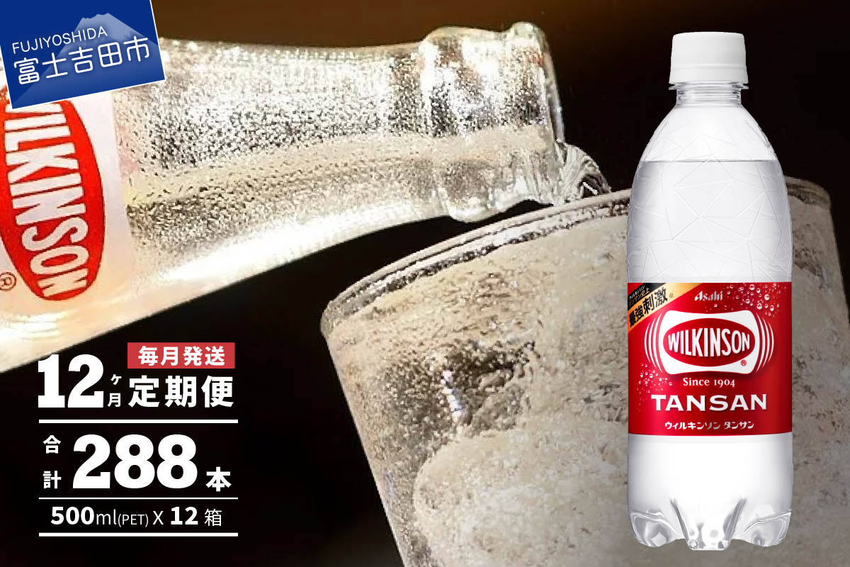 【12ヶ月お届け！】炭酸水 ウィルキンソン　タンサン PET500ml×1箱（24本入）定期便