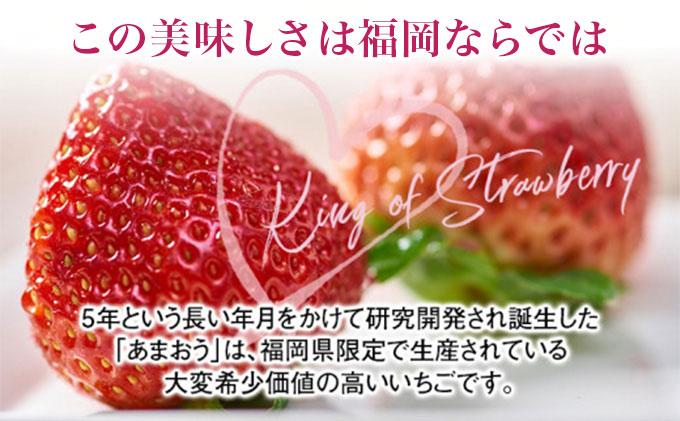 あまおう ギフト箱 約600g 苺 果物 フルーツ 冷蔵 箱入り ギフト 贈り物 送料無料 ※北海道・沖縄・離島は配送不可 大木町産 南国フルーツ CO006 約600g