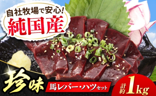 『純国産』熊本の味 馬 珍味 セット 計約1kg（約200g×5セット） 馬刺し レバー馬刺し ハツ馬刺し 珍味 おつまみ 晩酌 刺身馬肉 希少 熊本 生レバー 生ハツ 【有限会社 九州食肉産業】 [AYCN019]
