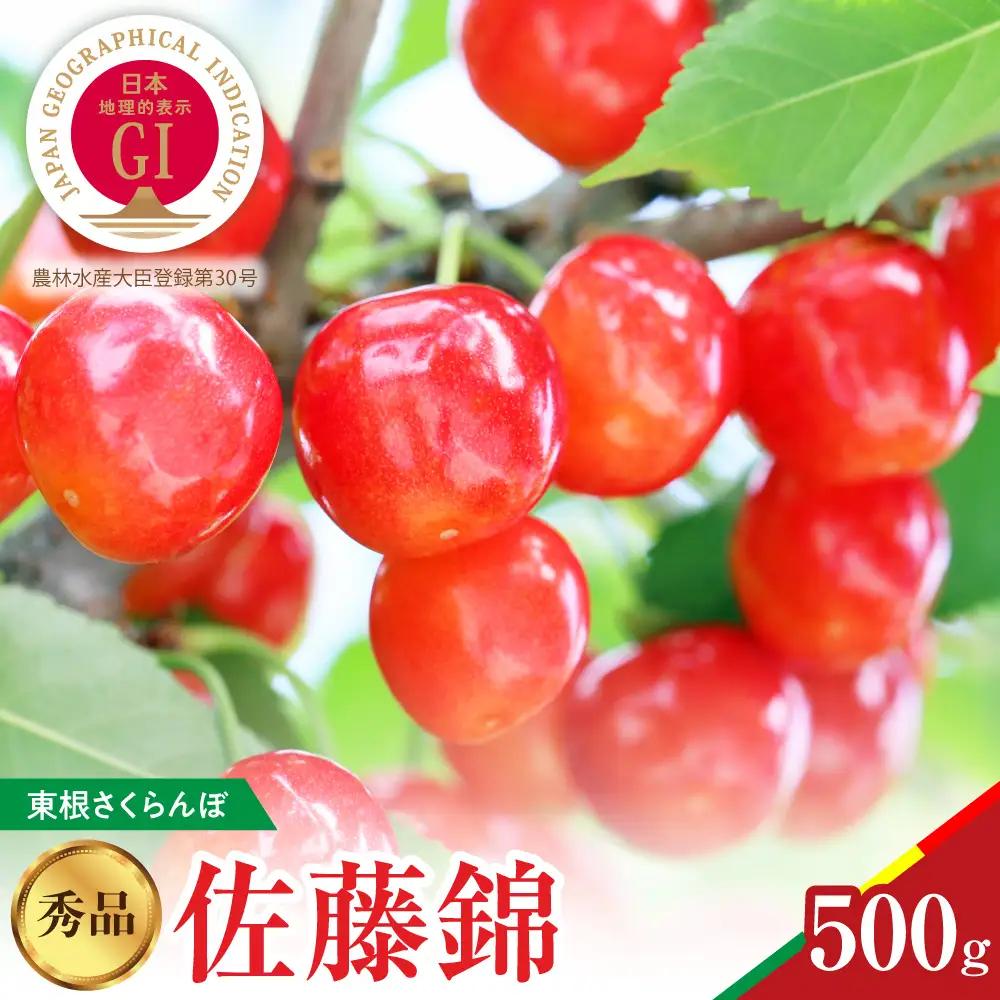 2027年産 GI東根 さくらんぼ 佐藤錦 秀品 500g さくらんぼ