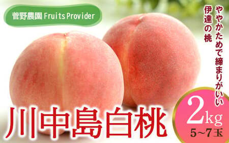 福島県産 川中島白桃 2kg 2025年8月中旬～2025年8月下旬発送 2025年出荷分 先行予約 予約 白桃 大玉 伊達の桃 桃 もも モモ 果物 くだもの フルーツ 国産 食品  F20C-605