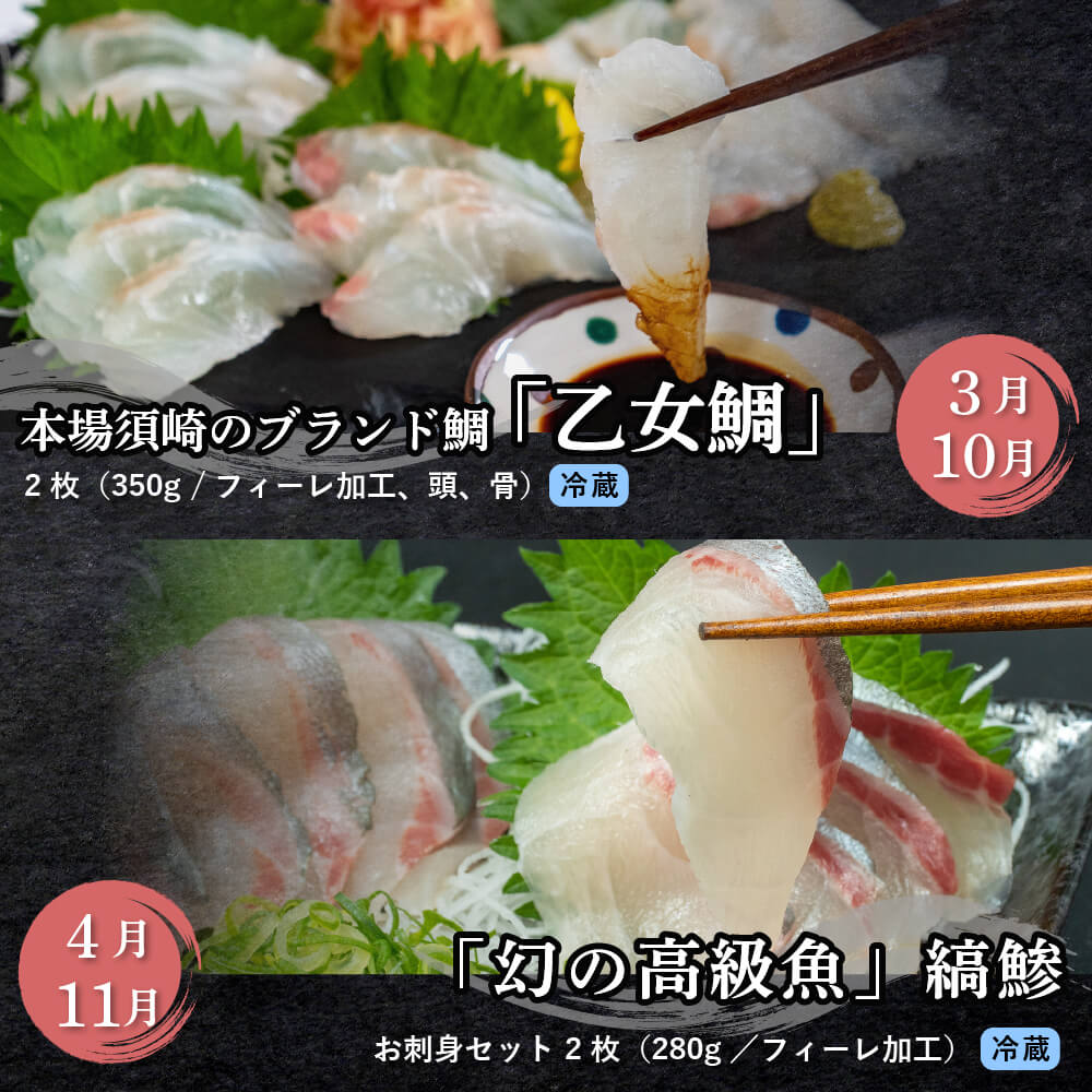 【定期便】1年間お届け!小島水産 がお届けする!美味しいお刺身定期便 12回コース 鮮魚 下処理済 頒布会 海鮮 鰤 ブリ 勘八 カンパチ 鯛 乙女鯛 真鯛 マダイ かつおのタタキ 鰹 カツオ 鰹のた