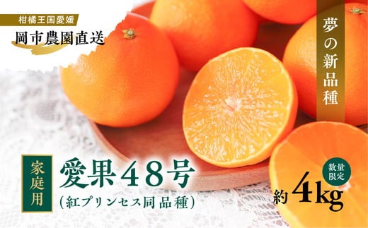 
            【先行予約】【数量限定】【家庭用】＼農園直送／愛媛県産愛果48号 約4kg｜柑橘 みかん ミカン 蜜柑 果物 フルーツ 愛媛県産 ※離島への配送不可 ※2025年2月下旬～3月下旬頃に順次発送予定
          