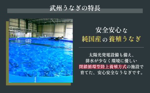 武州うなぎ 国産うなぎ蒲焼 4尾 お手頃サイズ 冷凍真空パック（約400g）【埼玉県 東松山市 母の日 鰻 父の日ウナギ 大容量 誕生日プレゼント 鰻の蒲焼き 特選品 美味しいお取り寄せ 贈り物 グル