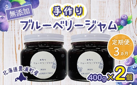 【定期便3カ月】北海道 豊浦町産 無添加手作り ブルーベリージャム400g×2個 【ふるさと納税 人気 おすすめ ランキング 果物 ブルーベリー 国産ブルーベリー ブルーベリージャム 手作り 無添加 大容量 おいしい 美味しい あまい ジューシー 定期便 北海道 豊浦町 送料無料】 TYUS007