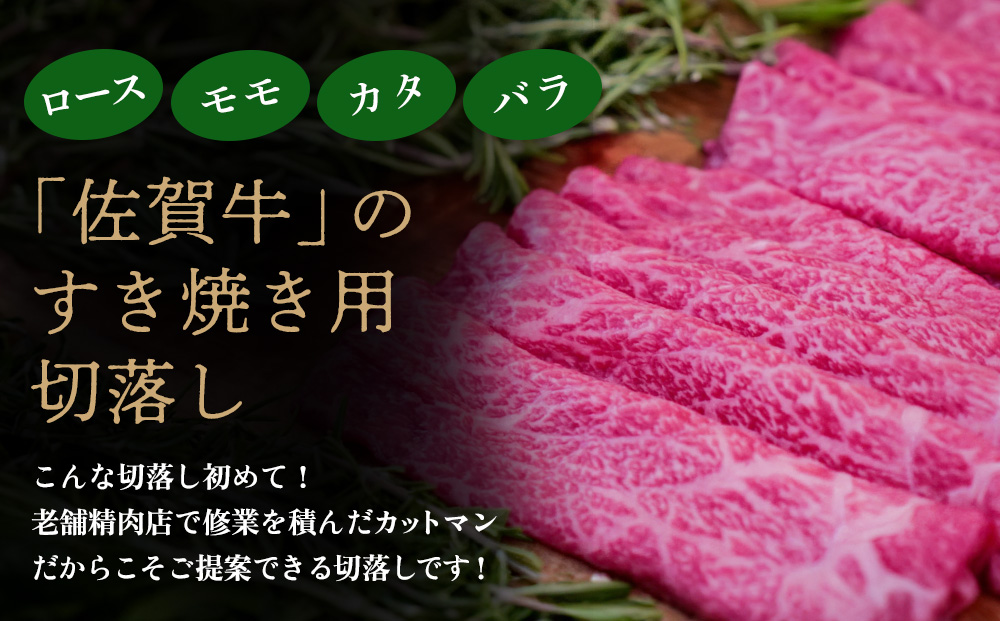 佐賀牛 サーロインステーキ200g×2枚計400g すきやき用切落250g×2パック計500g【佐賀牛 サーロイン ステーキ すきやき 切落し 高級部位 赤身肉 霜降り 小分け】(H122125)