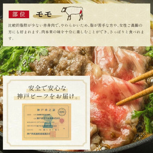神戸牛 すき焼き&しゃぶしゃぶセット【モモ】500g 　033WS01N.／ 和牛セレブ 神戸ビーフ 高級 牛肉 国産 BBQ バーベキュー 焼肉 ギフト 贈答品 贈り物 