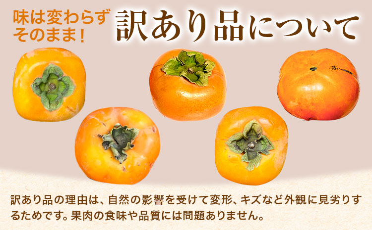 家庭用 種なし柿 約7.5kg 訳あり 池田鹿蔵農園《10月上旬-12月上旬頃出荷》和歌山県 日高町 刀根早生柿 平核無柿 ひらたねなしかき カキ 種なし柿---wsh_idn374_10j12j_2