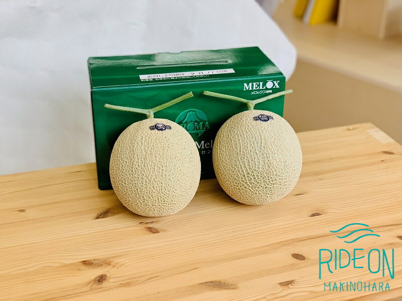 【ふるさと納税】 アローマメロン 富士級 1.3k×2玉 化粧箱入り 機能性表示食品 ストレス緩和 甘い 高級品 アローマ 温室 果汁たっぷり 甘い 温室メロン 箱入り 贈答 化粧箱入り ギフト 内祝い 果物 フルーツ 母の日 父の日 お中元 お歳暮