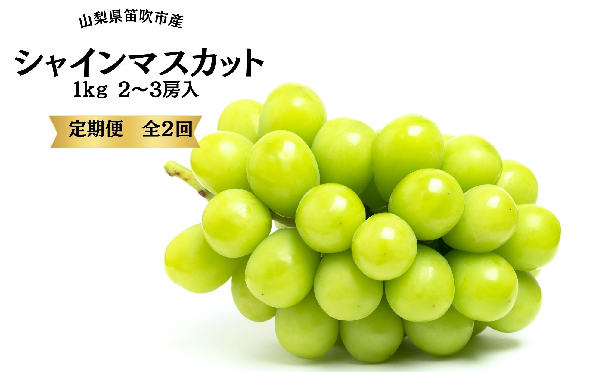 
葡萄の一大産地！笛吹市産シャインマスカット定期便×２回 167-015 ※沖縄・離島配送不可
