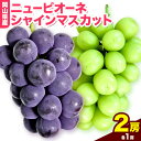 【ふるさと納税】岡山県産ニューピオーネ（1房580g以上）＆シャインマスカット「晴王」（1房580g以上）（令和7年産先行受付）《2025年9月上旬-10月中旬頃》【配送不可地域あり】