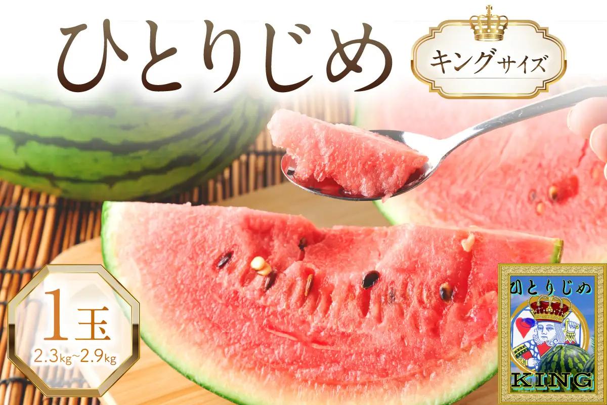 やまの農園 「ひとりじめ」キングサイズ 1玉≪先行予約≫【2027年6月中旬より順次発送予定】【1087-4】