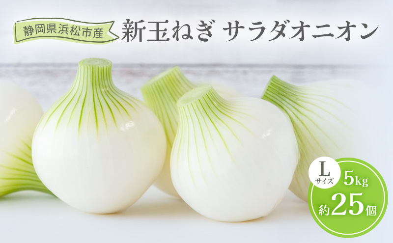 静岡県浜松市産 新玉ねぎ サラダオニオン Lサイズ 5kg 約25個 野菜 新玉ねぎ たまねぎ タマネギ サラダ オニオン 国産 浜松市 静岡 【配送不可：離島】