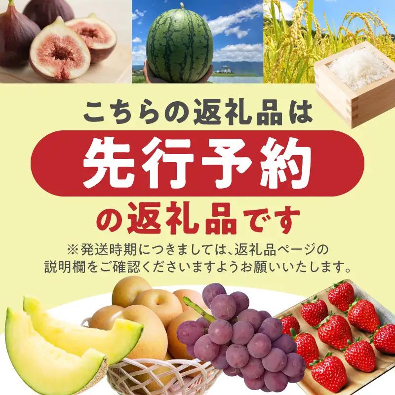 【先行予約】 特選　大粒イチゴ CR-0001