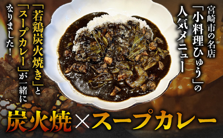 炭香る宮崎県産若鶏炭火焼スープカレー 計1.9kg スパイス ブレンド カレー