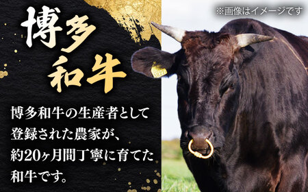 【6回定期便】　博多和牛 肩ロース　400g すき焼き 焼肉 和牛 牛肉 九州産 国産　桂川町/ワイエスフード株式会社[ADBP005]