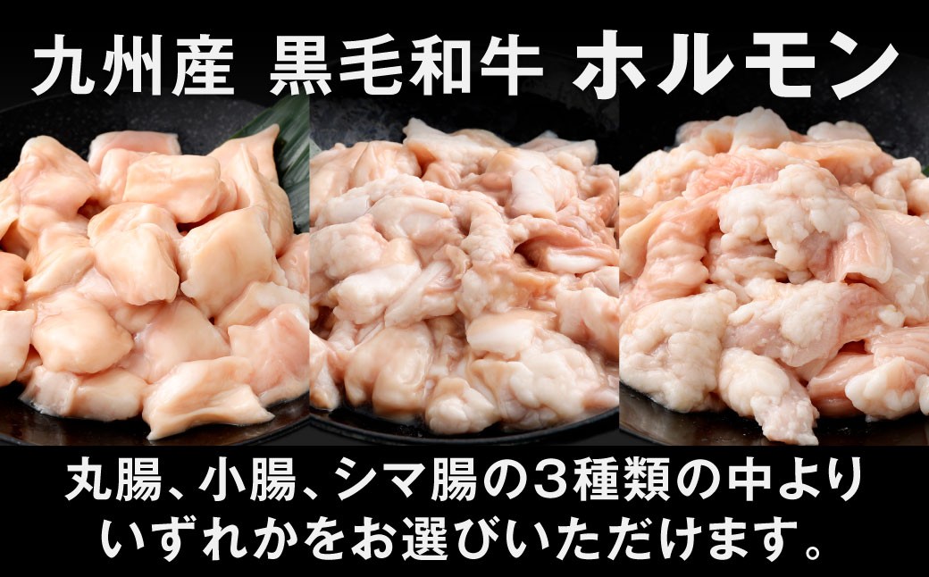 3種から選べるホルモン約1.5kg