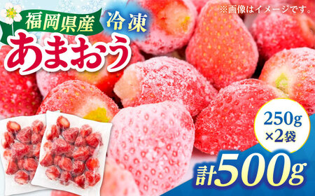 福岡県産 冷凍あまおう 500g（250g×2個）[ABEB025] いちご イチゴ 苺 果物 フルーツ [ABEB025] 