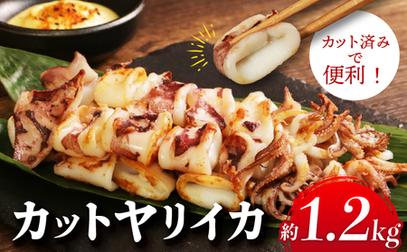 カットヤリイカ 約1.2kg イカ