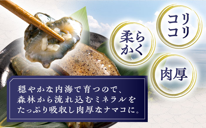 【先行予約】【数量限定】川棚 なまこ 約500g ※2024年12月中旬以降発送【森水産】[OAI002] / 大村湾なまこ 高級なまこ 新鮮なまこ ナマコ おつまみ 海鮮 魚介 新鮮魚介類 正月 産