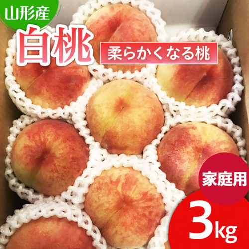 【ご家庭用】山形の桃(白桃) 3kg(6～12玉) 9月発送 (品種おまかせ)[柔らかくなる桃] 【令和8年産先行予約】FU22-782
