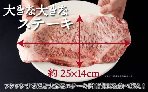 ＜2026年3月発送分＞宮崎牛ロースステーキ 200g×1枚 合計200g