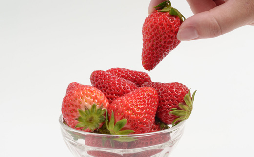 静岡県掛川市産　ミズノ農園の完熟いちご　『紅ほっぺ』約280g×6パック【配送不可地域：離島・北海道・沖縄県・四国・九州】