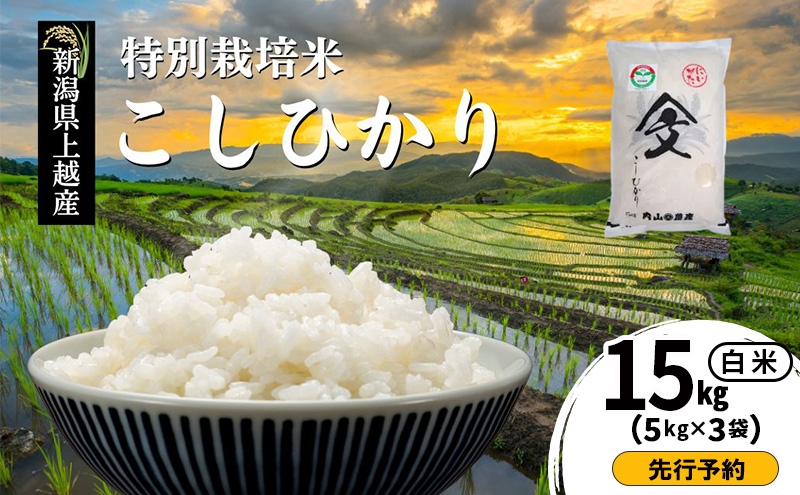 
                  先行予約 令和8年産 新潟県上越産「 特別栽培米 コシヒカリ 」 白米 15kg（5kg×3袋）内山農産 こしひかり お米 こめ おすすめ  新潟県産 にいがた 上越
                