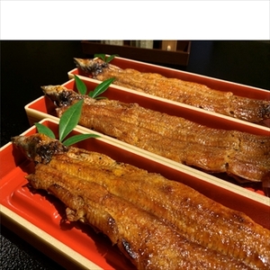 うなぎ辻判　国産鰻炭火蒲焼き　3尾