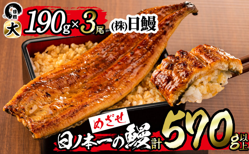 
日ノ本一の鰻の蒲焼き＜大＞3尾セット(計570g以上) b8-022
