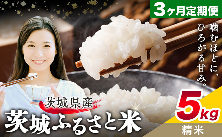 米 茨城 ふるさと米 白米 5kg 5kg×1袋 3回お届け 定期便《お申し込み月の翌月から出荷開始》茨城県 結城市 米 国産 お米 おこめ お弁当 おにぎり---yuki_local_21_5kg3tei---