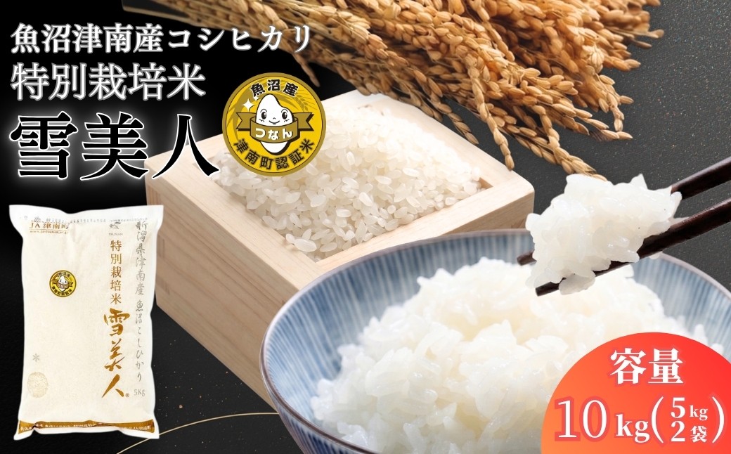 
                  【コシヒカリ 先行予約】10kg(5kg×2袋) 令和8年産 魚沼産 コシヒカリ 雪美人 特別栽培米 | 米 こしひかり お米 新潟 魚沼 魚沼産コシヒカリ 魚沼産こしひかり こめ コメ おこめ 人気 白米 新潟県 津南町
                