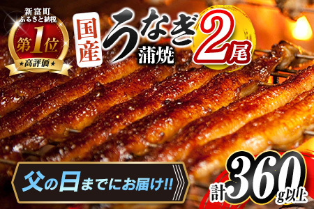 ＜父の日お届け＞国産うなぎ蒲焼 2尾 計360g以上【B555-FD】