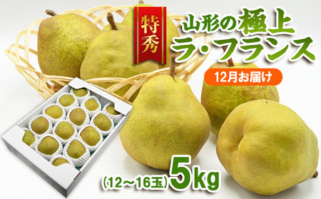 【特秀】山形の極上 ラフランス 特秀品 約5kg(12～16玉)[12月お届け]【令和8年産先行予約】FS25-781