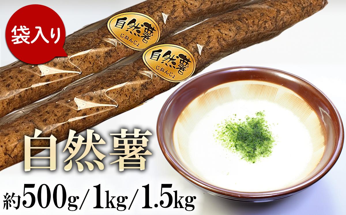 
                  【 容量が選べる 】自然薯 約500g / 1kg / 1.5kg  ( カット済 )【 ※ 重量に合わせてお届け 】【 2025年12月～2026年3月ごろ発送予定 】【 山芋 やまいも とろろ 人気 おすすめ 自然薯 ごはん 米 蕎麦 】
                