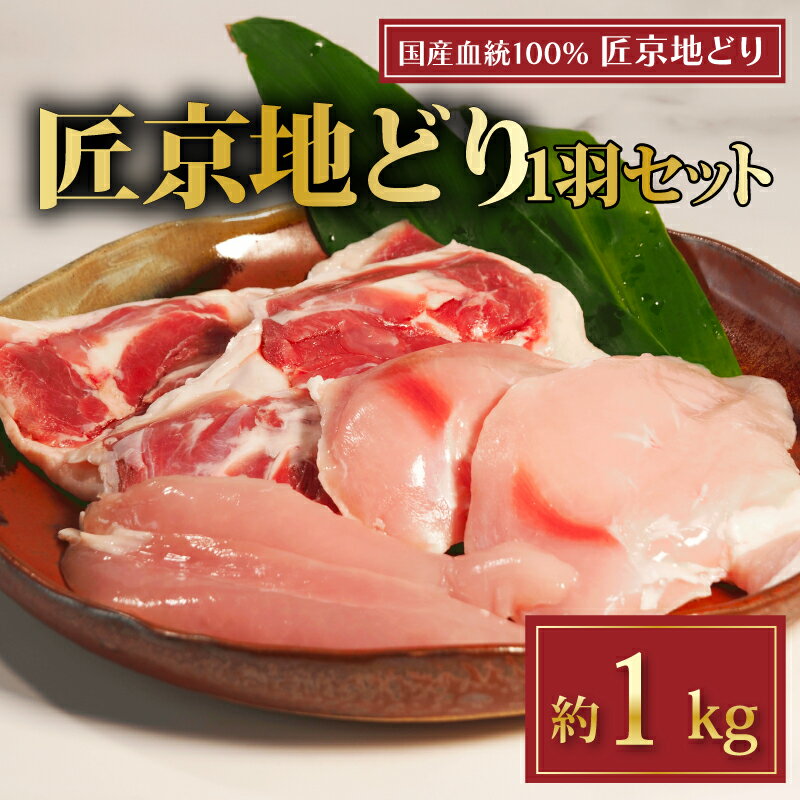 【ふるさと納税】 匠京地どり 1羽 約 1kg ( 京都府産 国産 地どり 京地どり 地鶏 鶏肉 鳥肉 とりにく お肉 肉 チキン モモ もも肉 鶏もも肉 ムネ むね肉 鶏むね肉 ささみ 詰め合わせ 鶏 鳥 精肉 切り身 冷凍 取り寄せ ギフト グルメ 京都府 京都 )